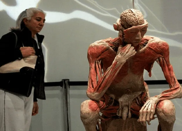 Torino, enorme successo mostra Human Body: prorogata la chiusura