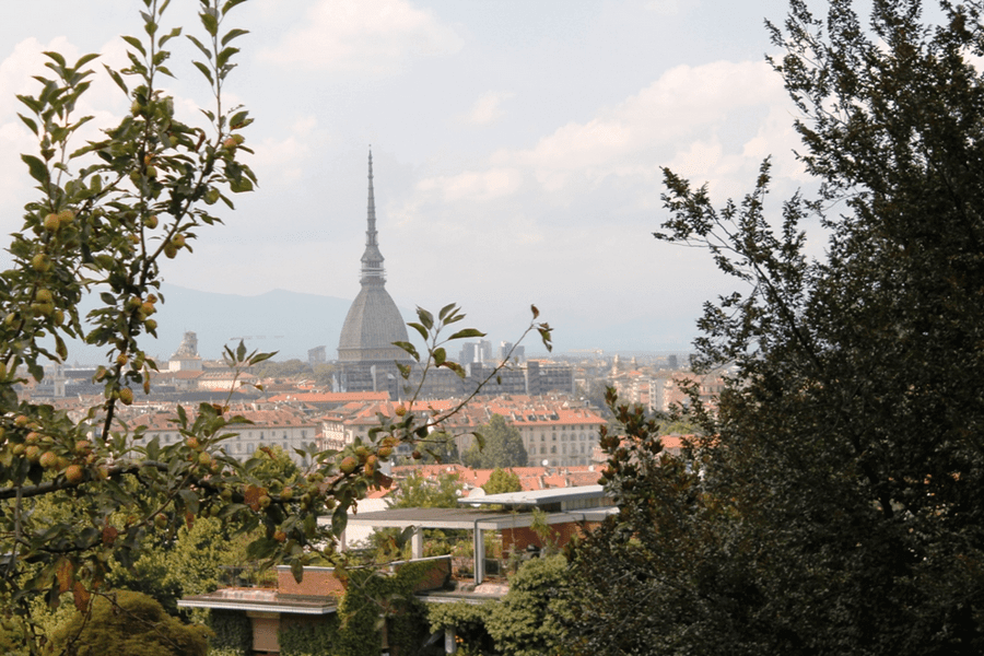 Torino dalla collina