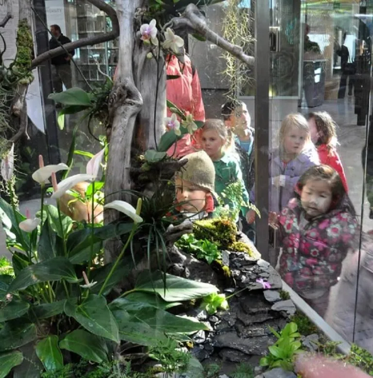 Torino, i piccoli in visita all’orto botanico