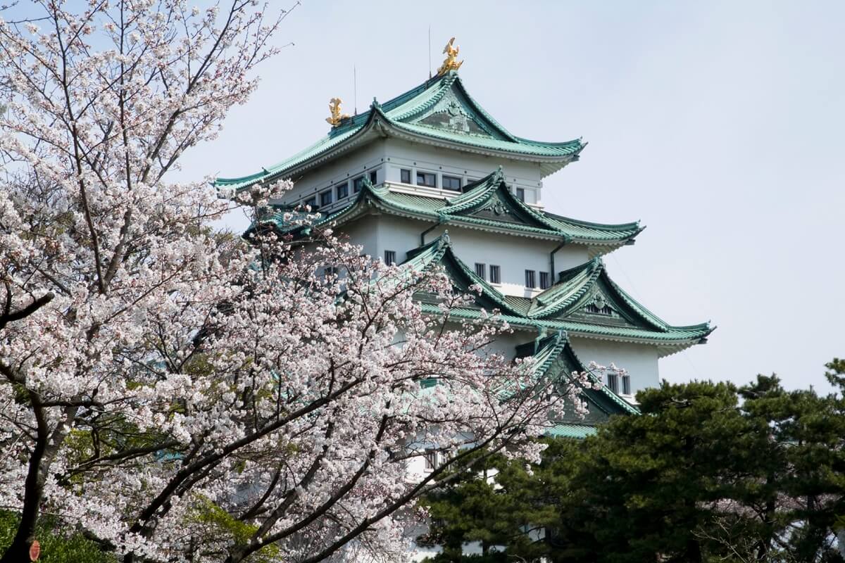 Piemonte Giappone turismo Tokyo olimpiadi