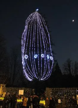 L’albero di Natale più alto d’Europa è a Torino!