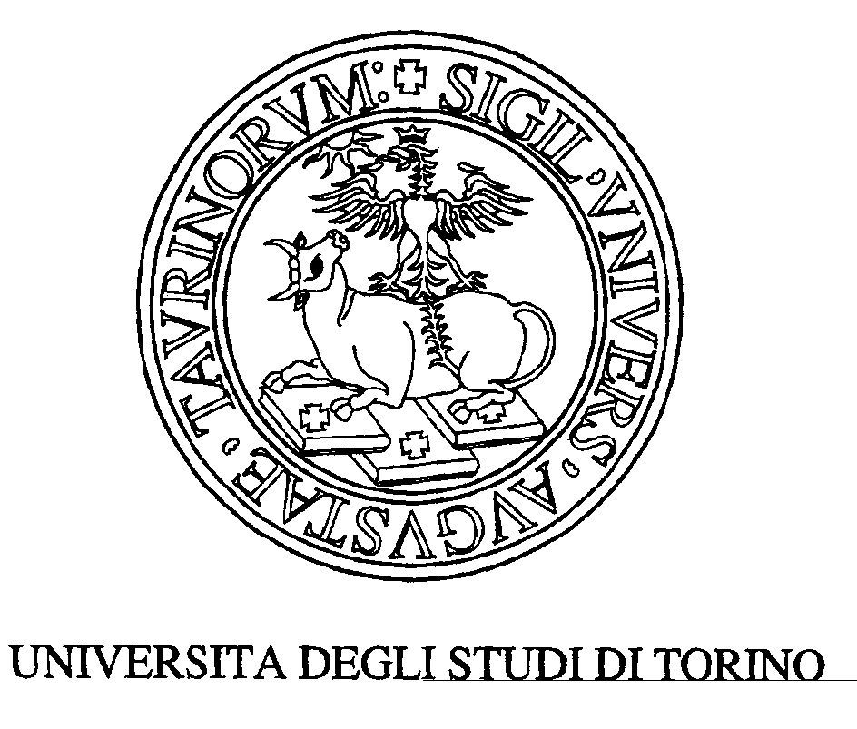 UNIVERSITA' DEGLI STUDI DI TORINO