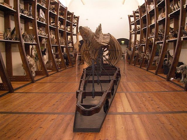 MUSEO REGIONALE DI SCIENZE NATURALI DI TORINO