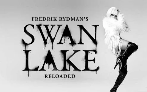 Swan Lake Reloaded a Torino