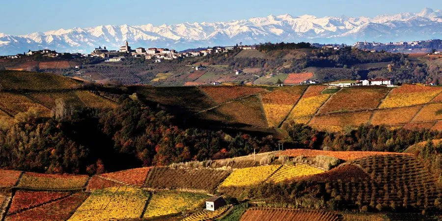 Auto e Langhe a Torino