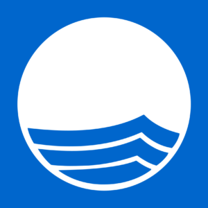 1200px blue flag logo.svg 300x300