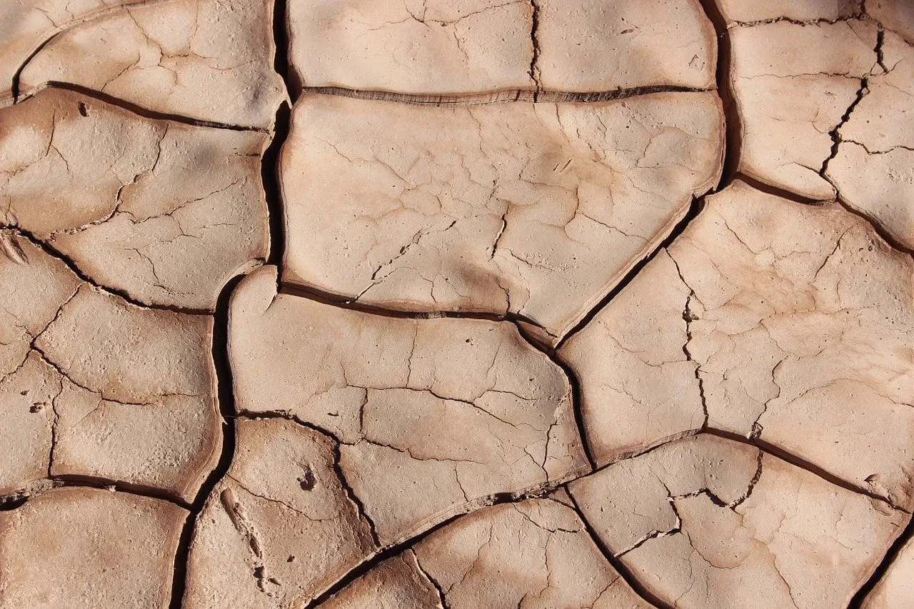 Attivisti protestano per l’emergenza climatica