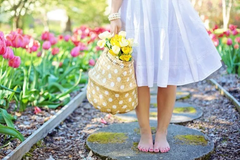 Domenica Agriflor torna in Piazza Vittorio a Torino: protagoniste rose e peonie