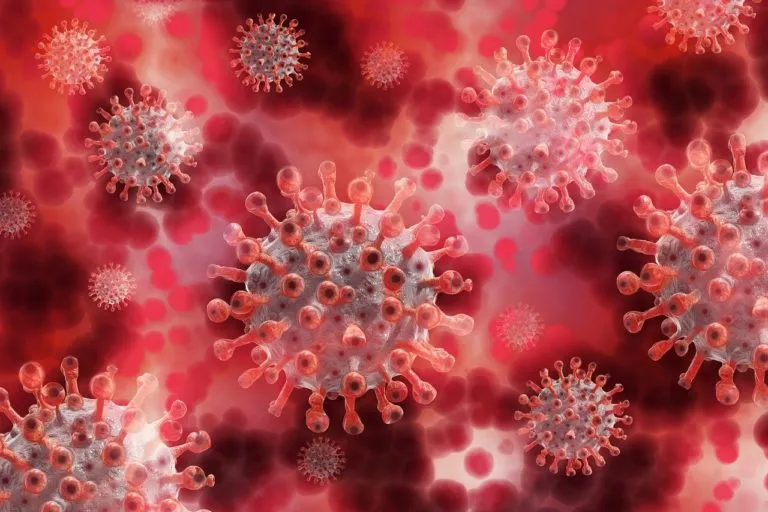 Covid: Come eravamo. Il mondo prima del virus