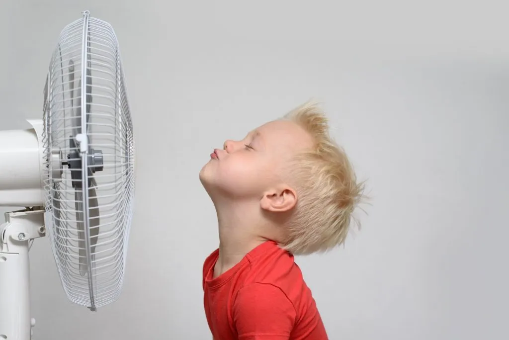 I ventilatori nebulizzanti per l’uso professionale in molti settori