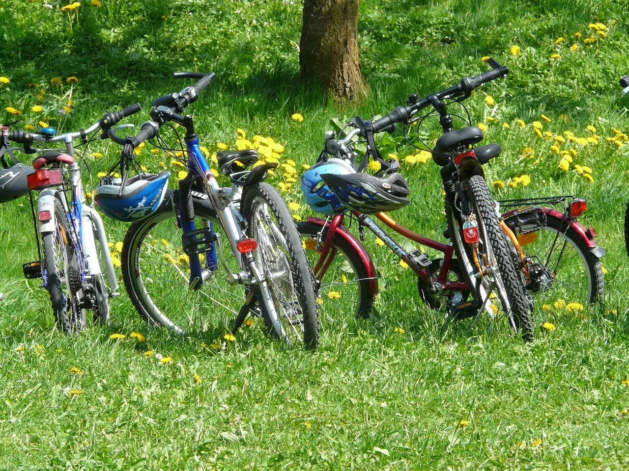 10 attività da fare all’aperto a Torino