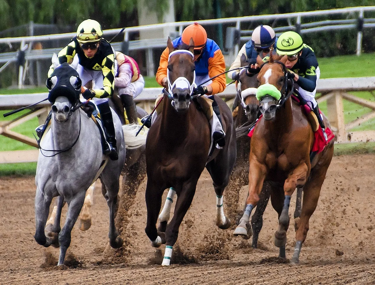 Un’altra domenica di corse e spettacolo all’ippodromo di Vinovo