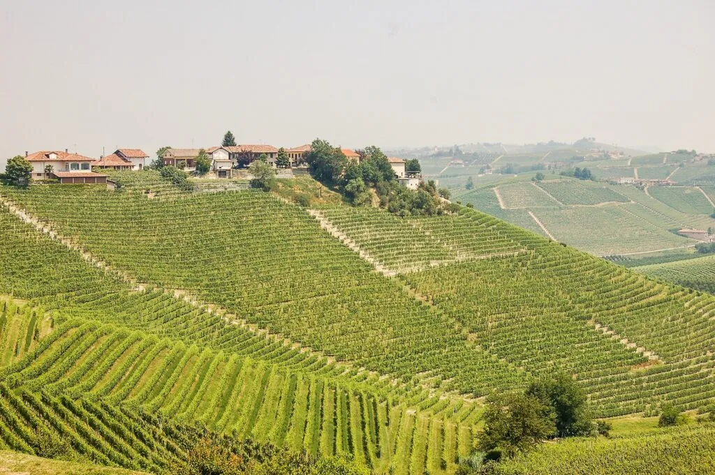 I Sentieri Gastronomici dello chef Bongiovanni ad Asti