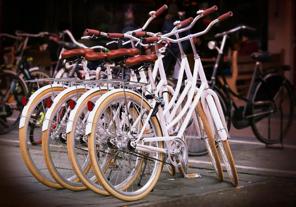 Domenica 19 torna l’appuntamento con la Pedalata Ecologica a Carmagnola