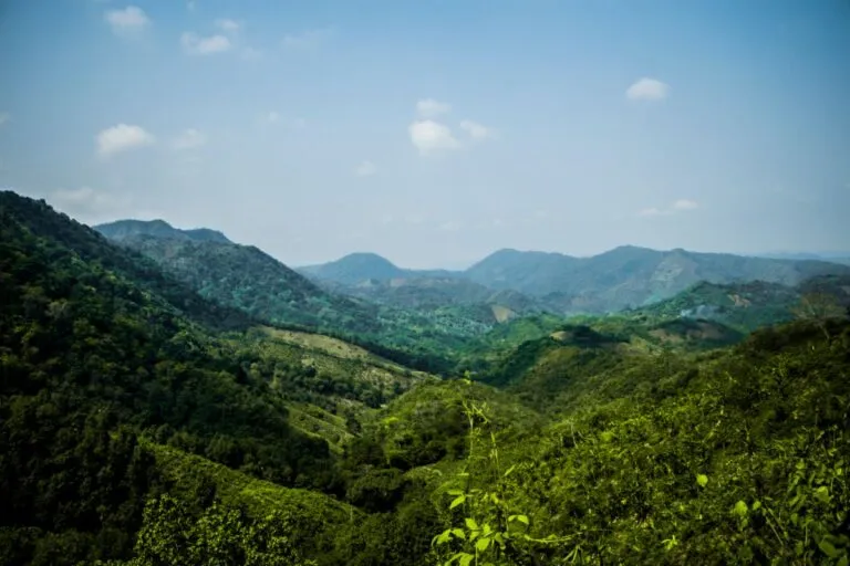 Accordo fra Parchi Piemontesi, Unpli Piemonte – Le Pro Loco e Regione: un incontro importante per l’Ambiente