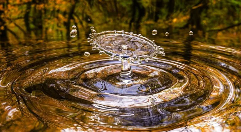 Università di Torino: nasce la prima scuola internazionale per il riuso d’acqua