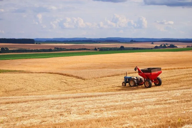 Priorità dell’agricoltura richieste al Governo – Coldiretti Piemonte