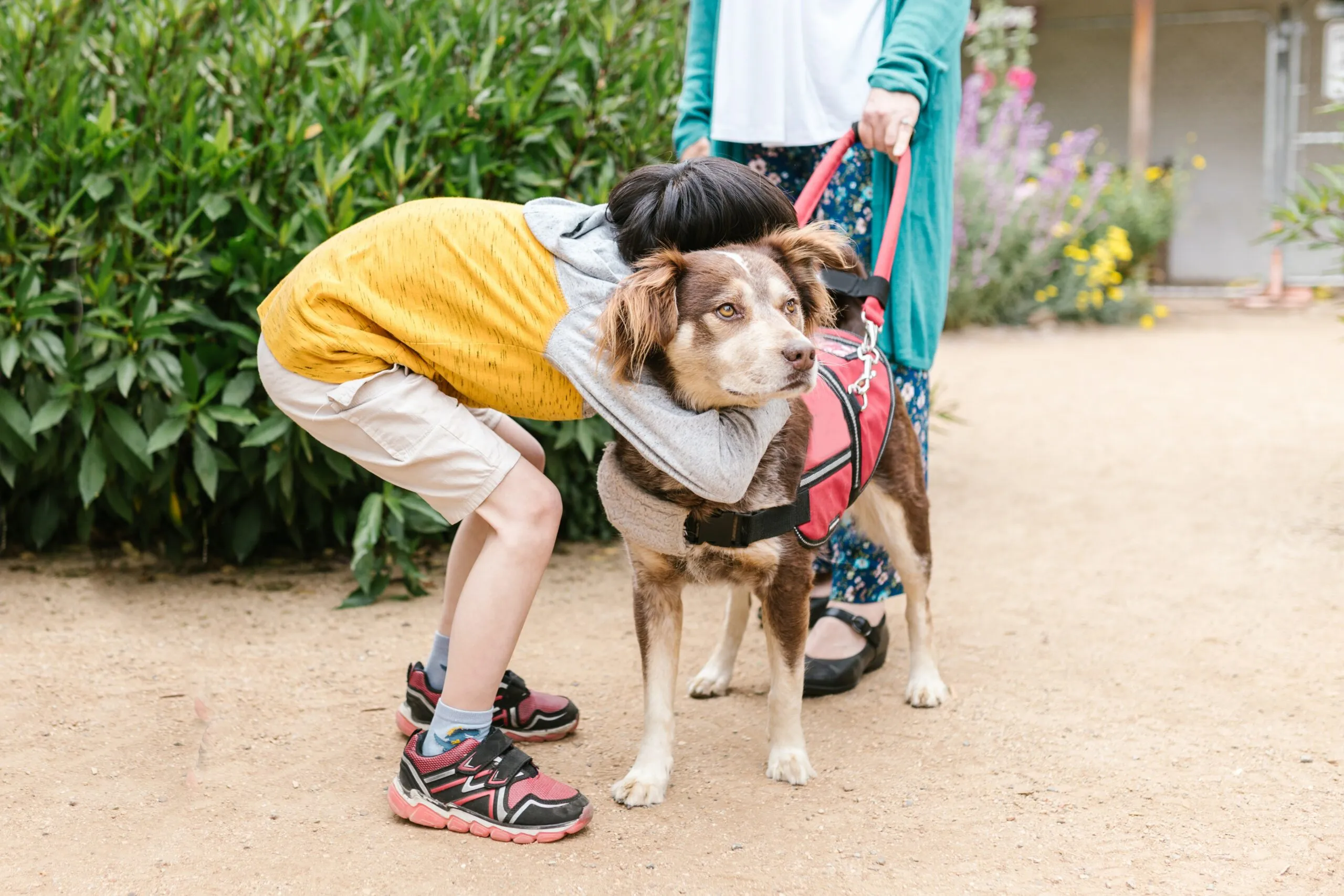 Giornata Nazionale del Cane Guida: UICI Torino organizza un evento dedicato