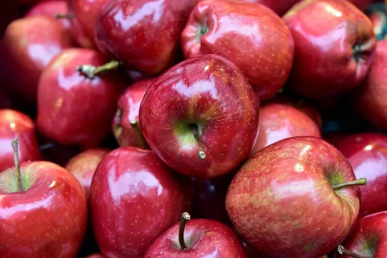 Frutticoltori in piazza a Torino: proteste per il prezzo di vendita delle mele all’ingrosso