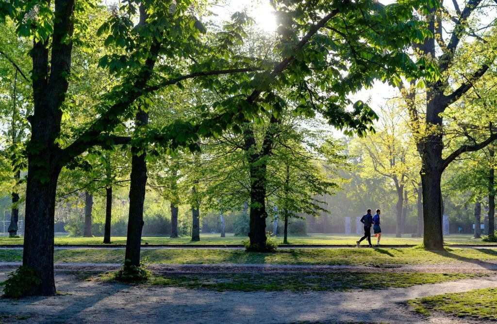 Venaria sul tetto d’Europa: nella città piemontese si terranno gli Europei di corsa campestre