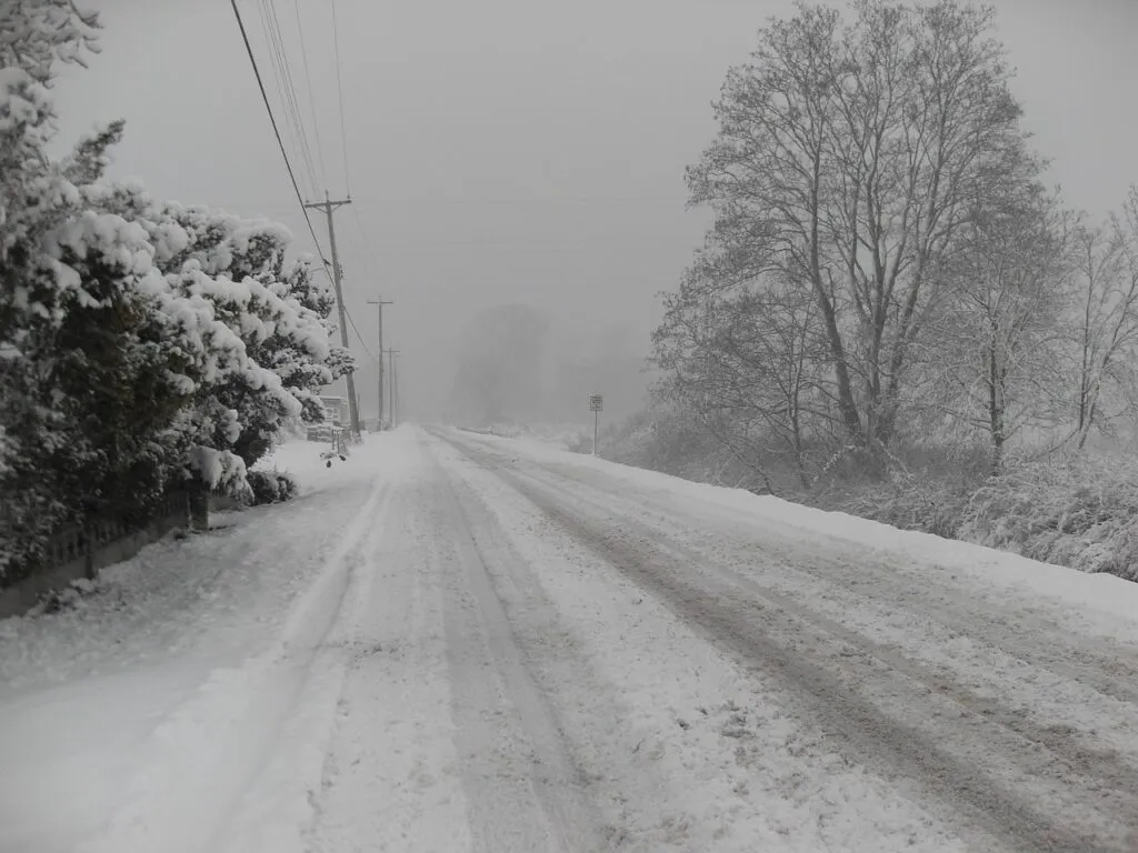 Disagi a Torino per la neve: i cittadini protestano contro l’amministrazione