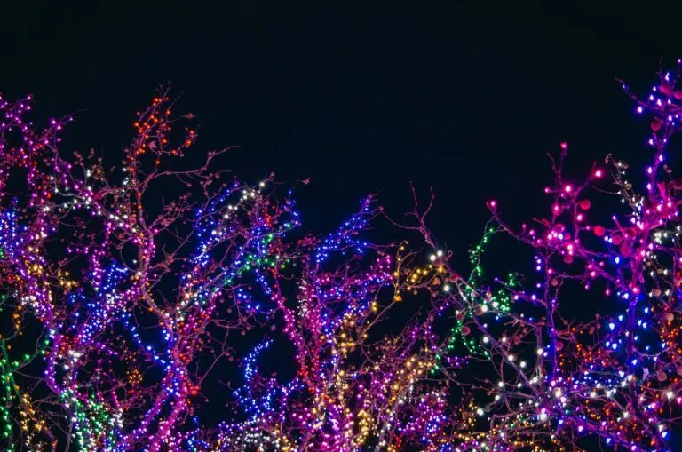 Moncalieri: gli auguri del Sindaco e Il Giardino delle Rose s’illumina per Natale