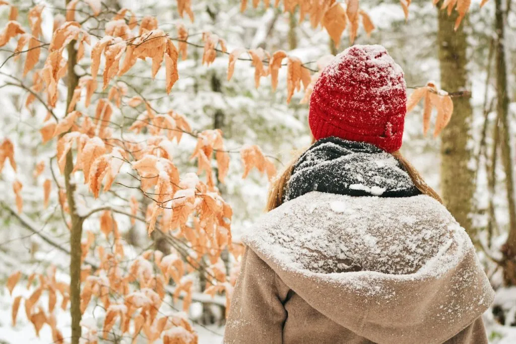 Torino, neve in arrivo questa notte?