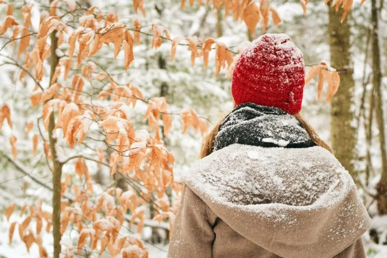 Torino, neve in arrivo questa notte?