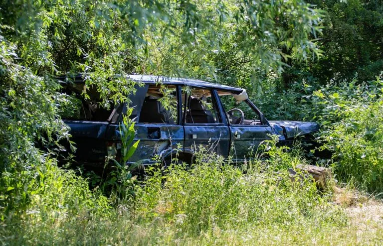 Torino: rubano un’auto e poi si scontrano contro un albero