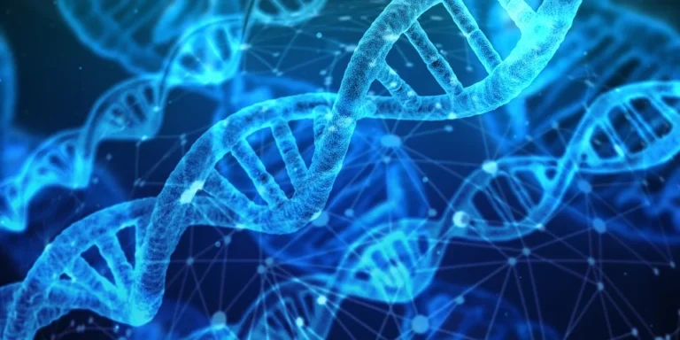 Scoperto a Torino nuovo gene responsabile dell’autismo