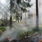 Incendio nei pressi di Domodossola: più di 100 ettari di bosco bruciati