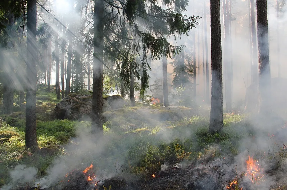 Incendio nei pressi di Domodossola: più di 100 ettari di bosco bruciati