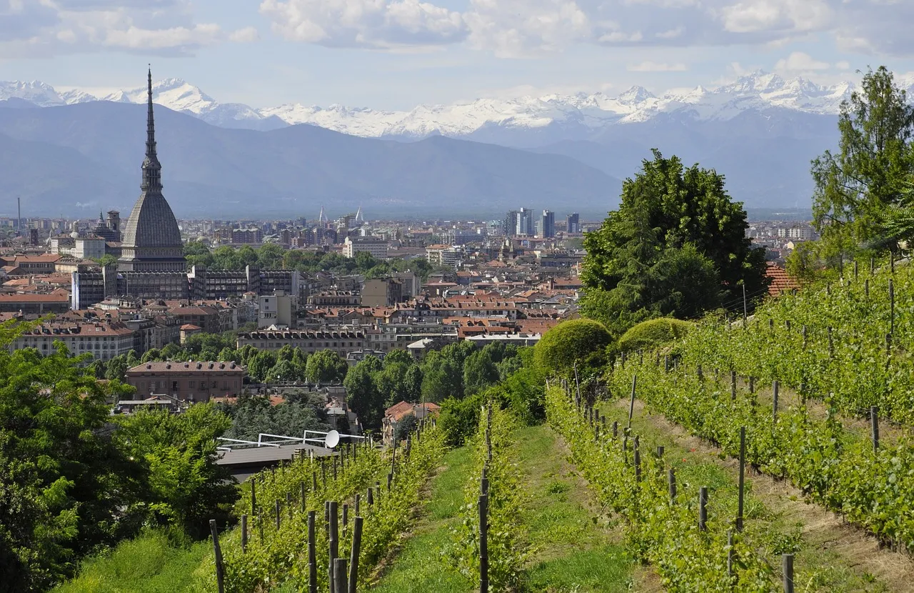 Spina di Torino: saranno piantati 140 nuovi alberi