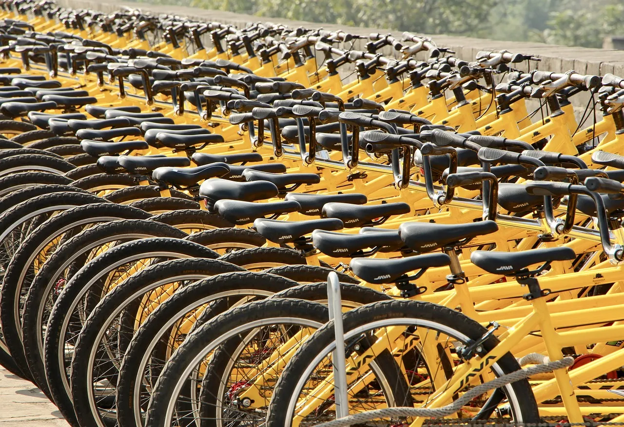 ToBike chiude definitivamente: il servizio di bike sharing non funzionerà più a Torino