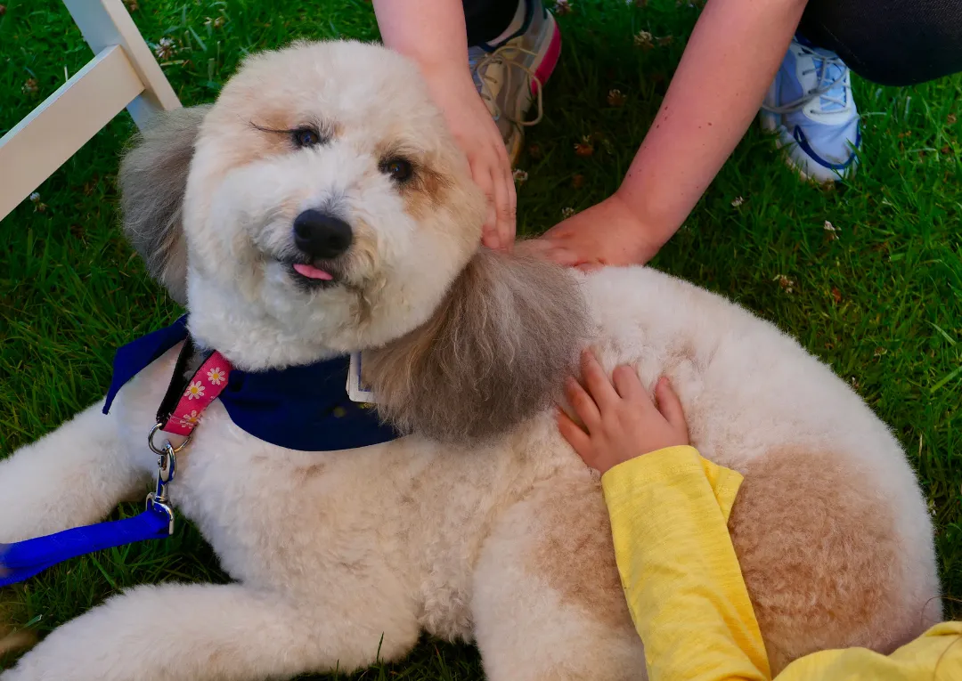 Pet therapy: in arrivo al Parco delle Vallere