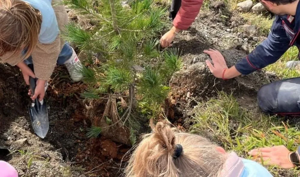 BoscoTo25: 120 alunni hanno piantato 260 alberi nel Parco Colonnetti di Torino