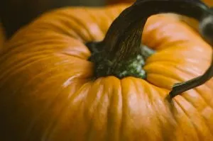 Sagra della Zucca di Santena 2024: un fine settimana di tradizione e gusto