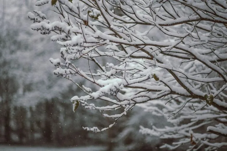 Nevicata in arrivo a Torino: le misure del Comune per affrontarla