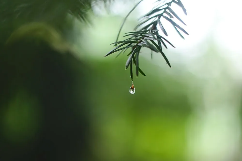 Previsioni meteo in Piemonte: piogge in arrivo nella settimana dall’11 al 17 novembre 2024