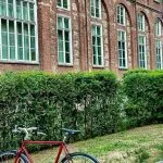 Università sostenibili: UniTo tra i migliori atenei al mondo nel QS Sustainability Ranking