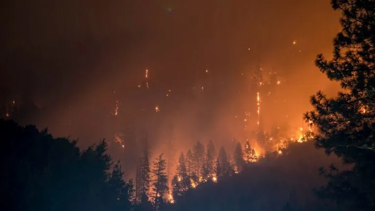 Incendi nei boschi in Piemonte: 5 milioni di euro dalla Regione per ridurre i rischi