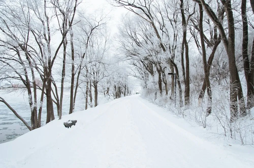 Vacanze sulla neve: il Piemonte tra le mete più scelte dagli italiani