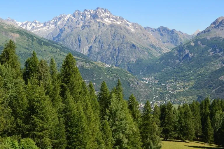 Biodiversità alpina: a Torino il bilancio di due decenni di osservazioni