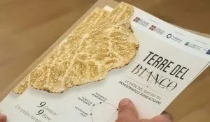 Tartufo bianco, nasce Terre del Bianco: nove fiere unite in Piemonte
